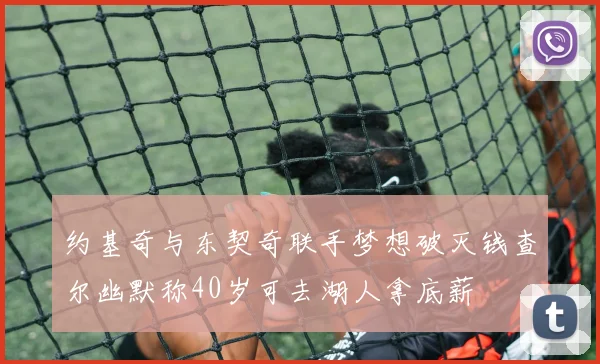 约基奇与东契奇联手梦想破灭钱查尔幽默称40岁可去湖人拿底薪