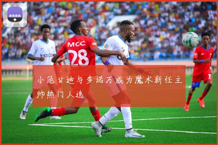 小范甘迪与多诺万成为魔术新任主帅热门人选